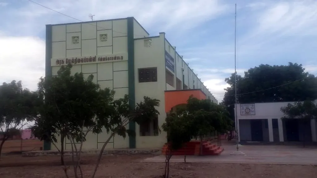 teacher 